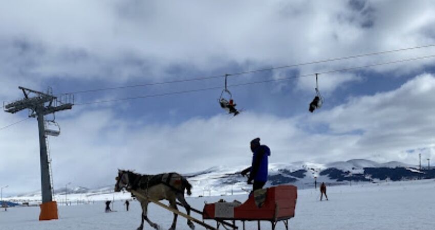 Sarıkamış Dinamik Otel